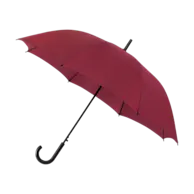 Borgogna