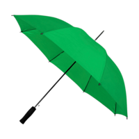 ICON - falconetticompactumbrella green