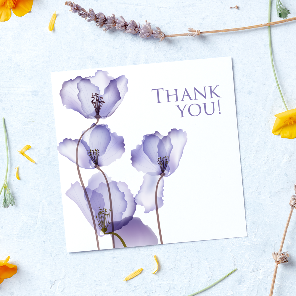 postcards PDP  3