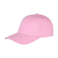 ICON - memphisbrushedcottonlowprofilecap pink