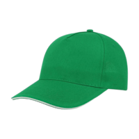 Vert / Blanc
