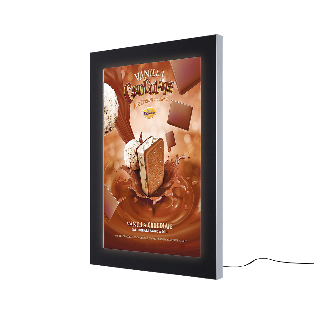 ledoutdoorpremiumpostercaseslim - A1