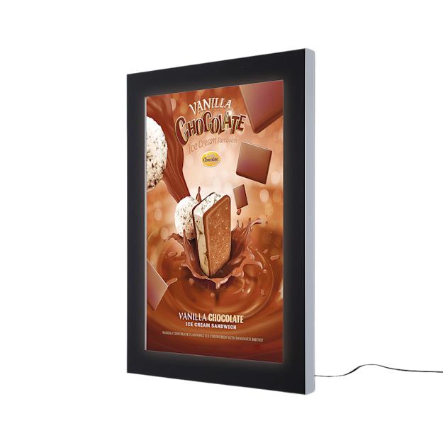 ledoutdoorpremiumpostercaseslim - A1