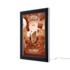 ledoutdoorpremiumpostercaseslim - A1