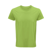 Attribute - Color - Apple Green (tshirtsolscrusader.color.apple_green)