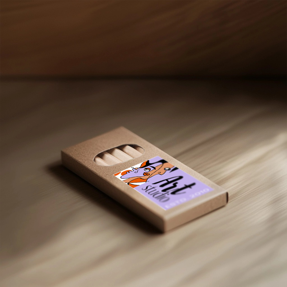 6colouredpencilsinbox setting1