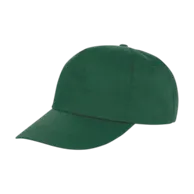 Verde bottiglia