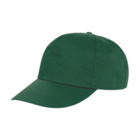 ICON - houston5panelprinterscap bottle_green