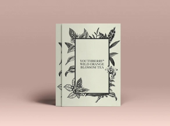 Traditional-Meets-Digital