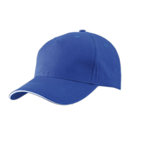Bleu royal / blanc