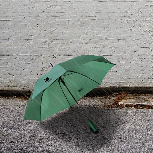 coloradoumbrellaPDP Copy 2