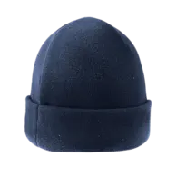 French Navy