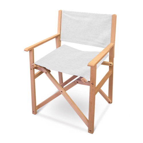 directors chair no print