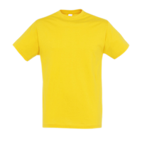 Budget Round Neck T-Shirt Regent ICON gold