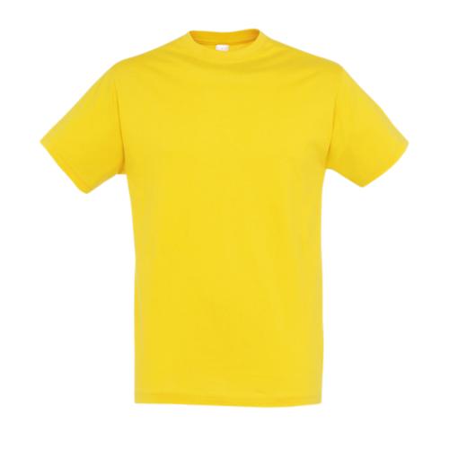 Budget Round Neck T-Shirt Regent ICON gold