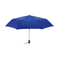 Bleu royal