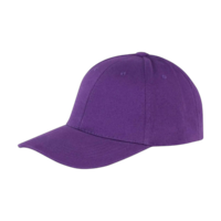 ICON - memphisbrushedcottonlowprofilecap purple