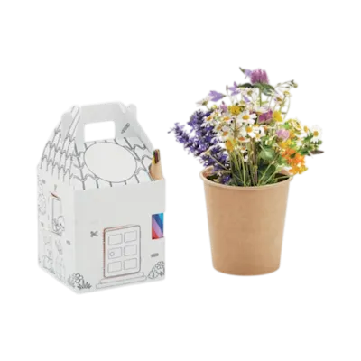 House Shaped Seeds Growing Set