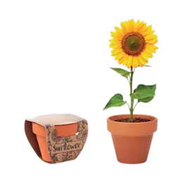Pot en terre cuite Sunflower