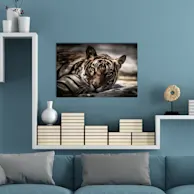 75 x 50 cm