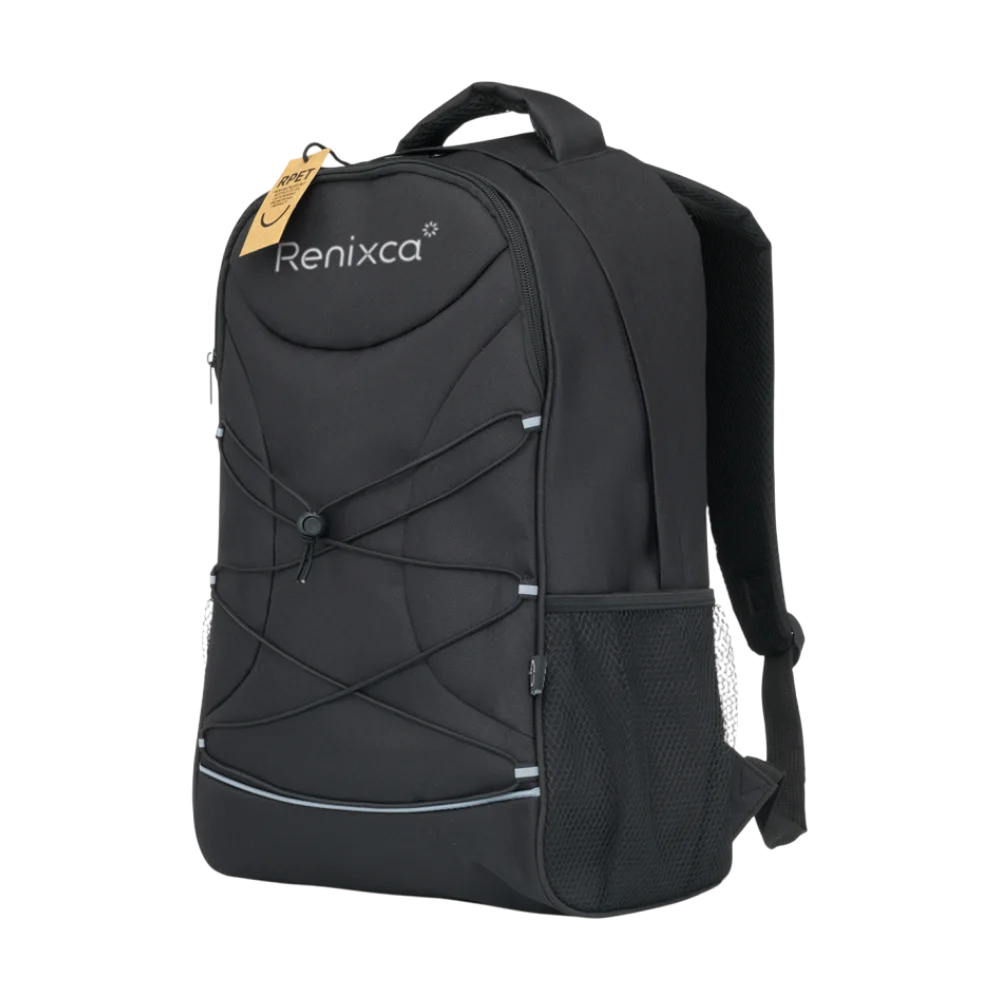 226. flashlinerpetlaptopbackpack PLP