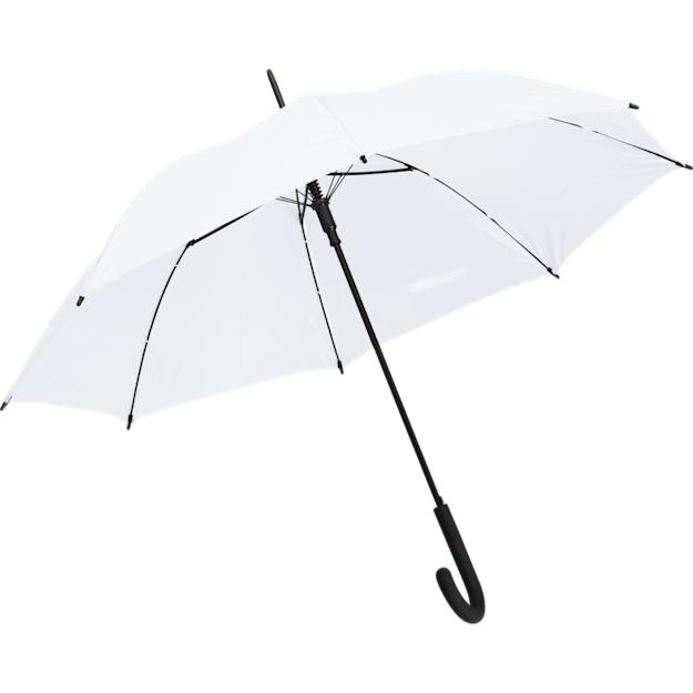 coloradoclassicumbrellaIcon