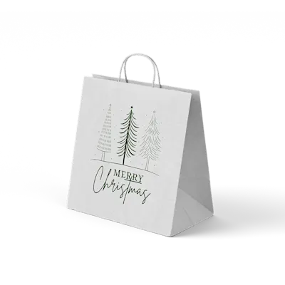 Paper Bags