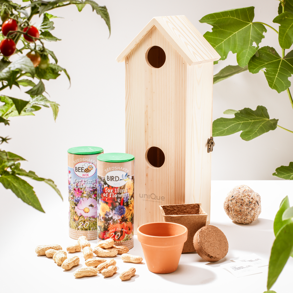 177. rackpacktweetsuite Photo 1 (1)