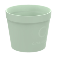 Vert clair