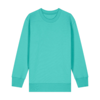 ICON - stanleystellatheiconickidscrewnecksweatshirt pool_blue