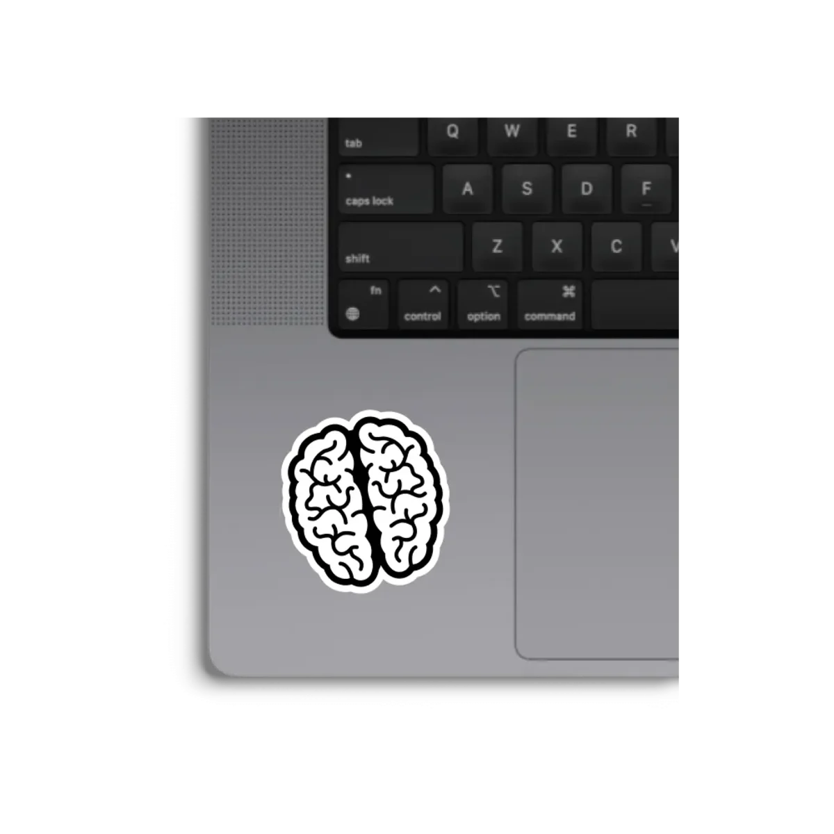 Laptop Stickers main image