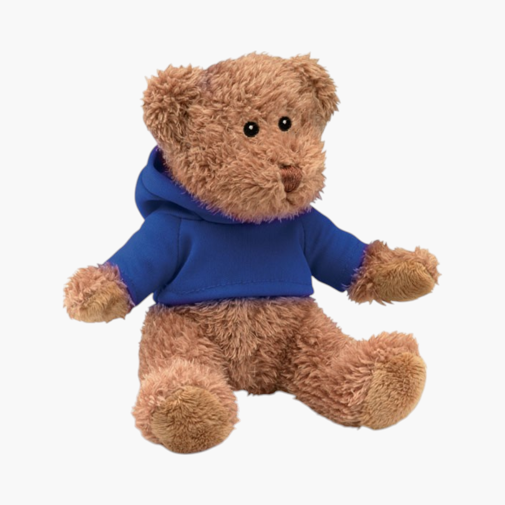 PDP - teddybeermetsweatshirt square #F8F8F8 background