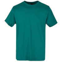 basicroundnecktshirtbuildyourbrand green