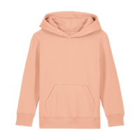 ICON - stanleystellatheiconickidshoodiesweatshirt fraiche_peche