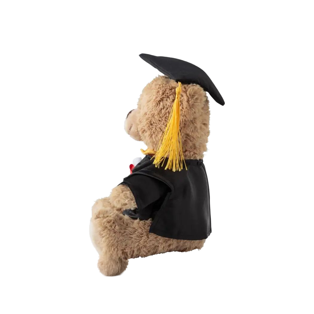 Graduation Plush Bear - view 1