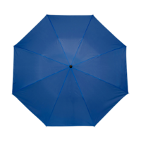 Bleu cobalt