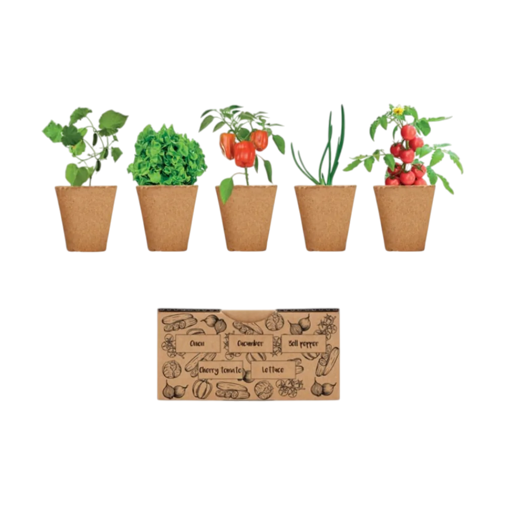 PDP - saladsaladgrowingkit square #F8F8F8 background