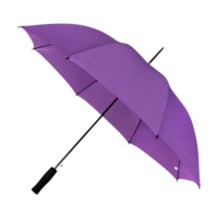 ICON - falconetticompactumbrella purple