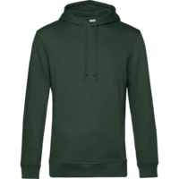 Vert forêt
