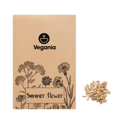 Mixed Flower Seeds in Envelope