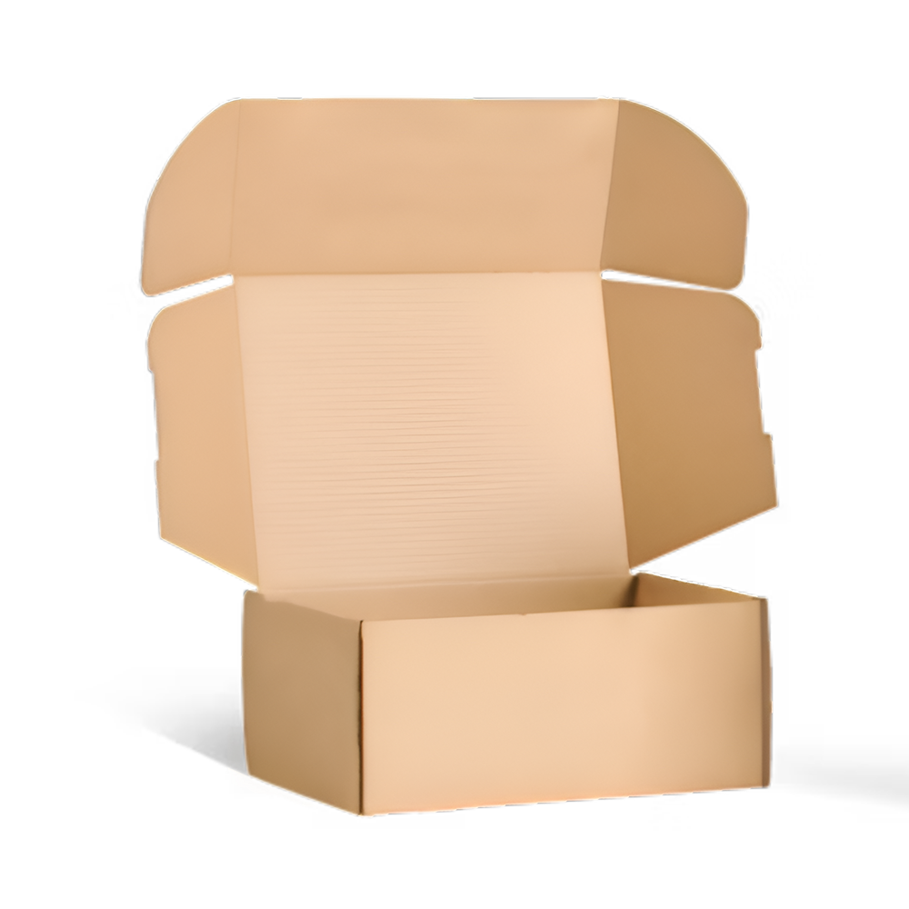 ecomailerbox kraft