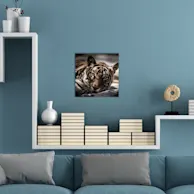 40 x 40 cm