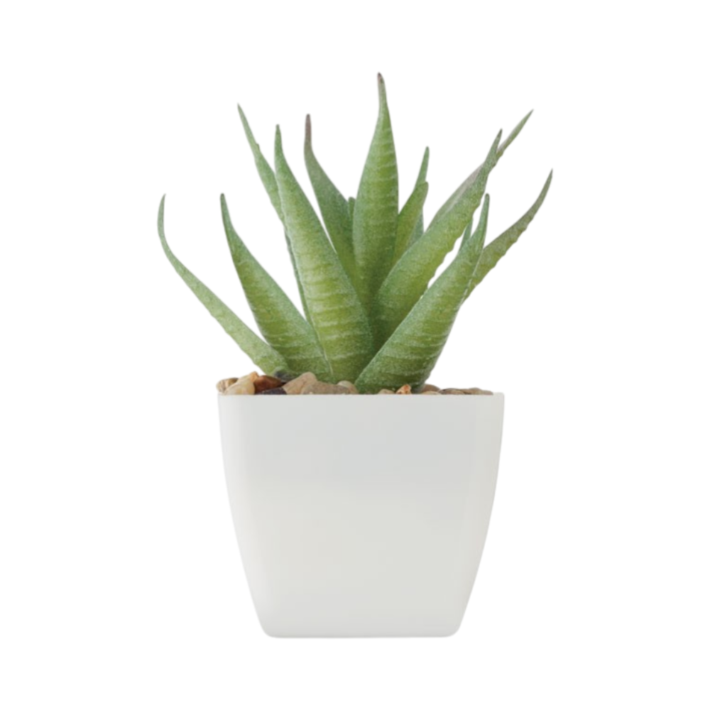 PDP - artiloeminiartificialplant square #00000000 background