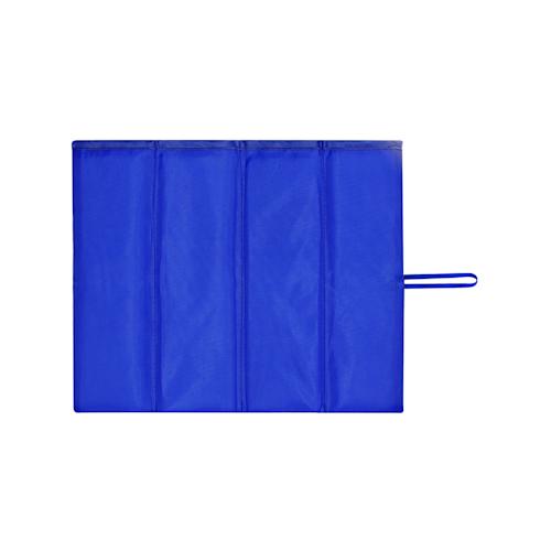 COLOR ICON - xalan - Blue
