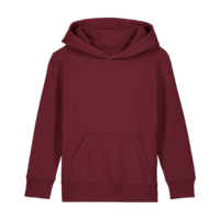 ICON - stanleystellatheiconickidshoodiesweatshirt burgundy