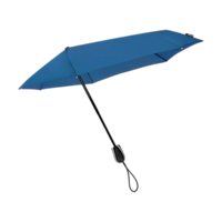 Bleu royal