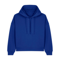 ICON - stanleystellathewomenshoodiesweatshirt worker_blue