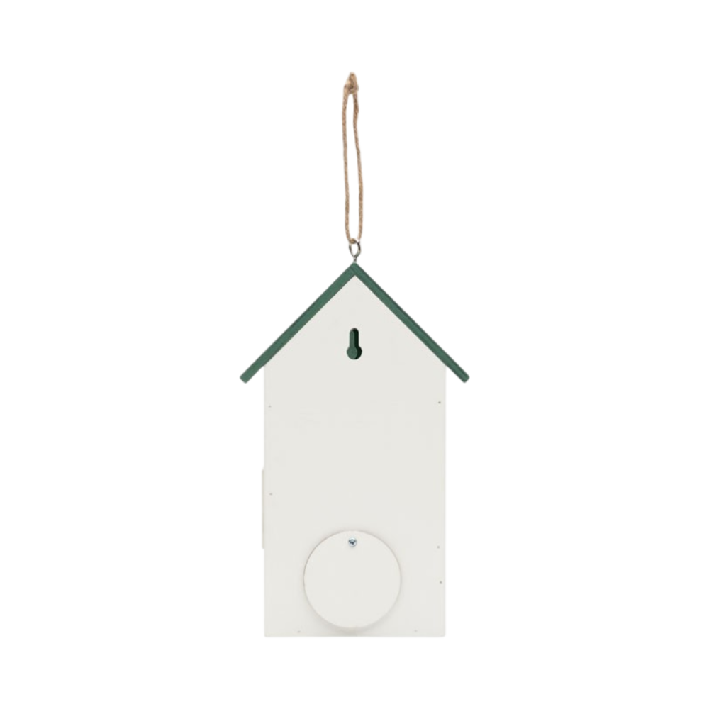 PDP - greenjaybirdhouseinplywood square #00000000 background