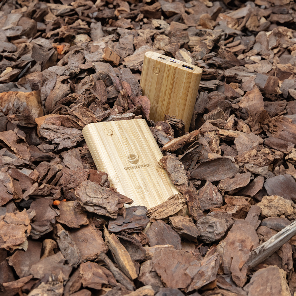 bamboo5000mahpowerbank setting2