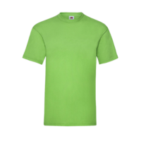Budget Unisex Classic Fit Round Neck T-shirt ICON lime